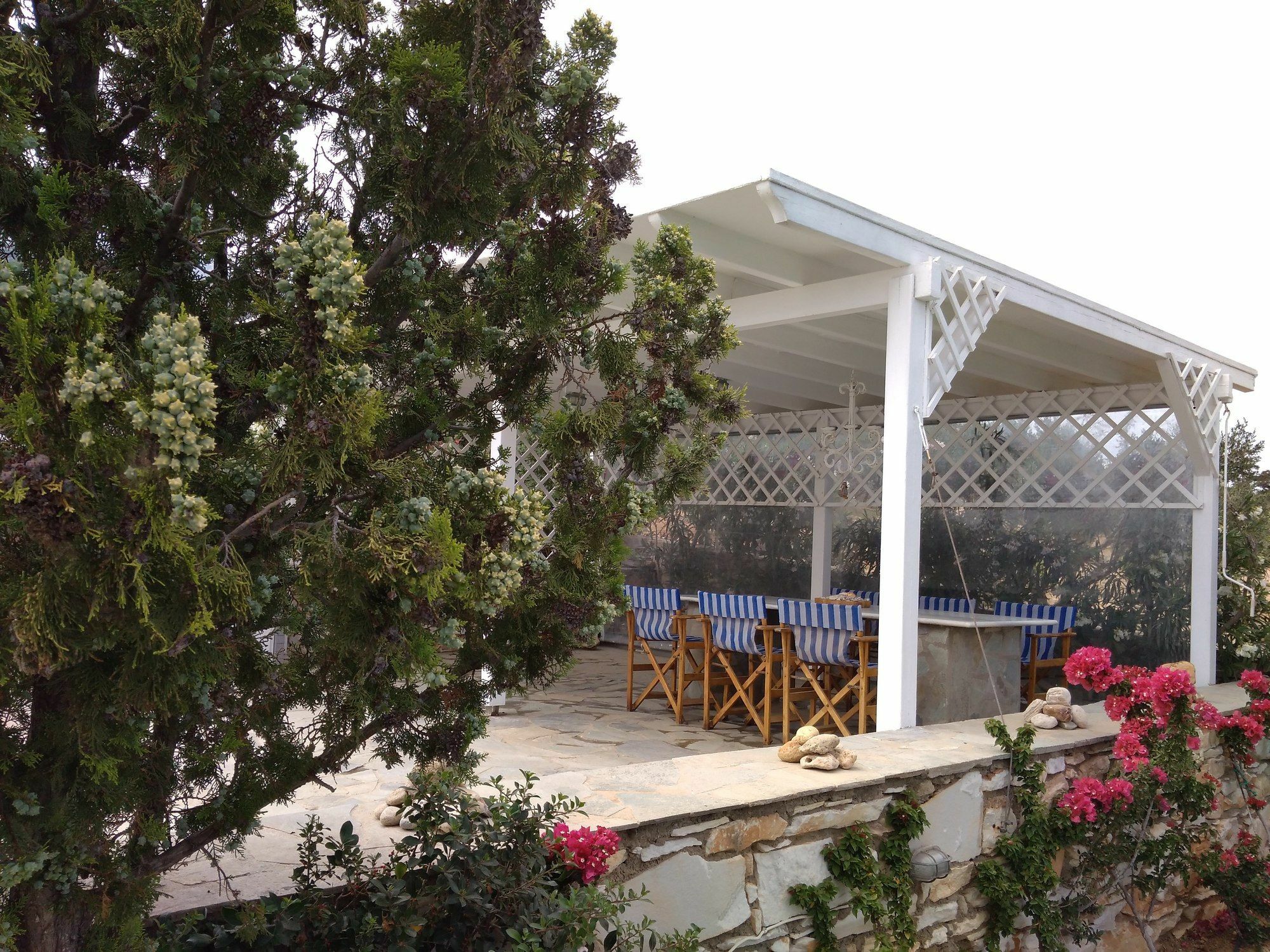 Dryades Family Hotel 드리오스 외부 사진
